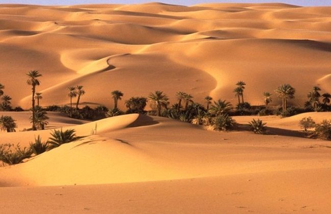 the-Sand-Dunes,